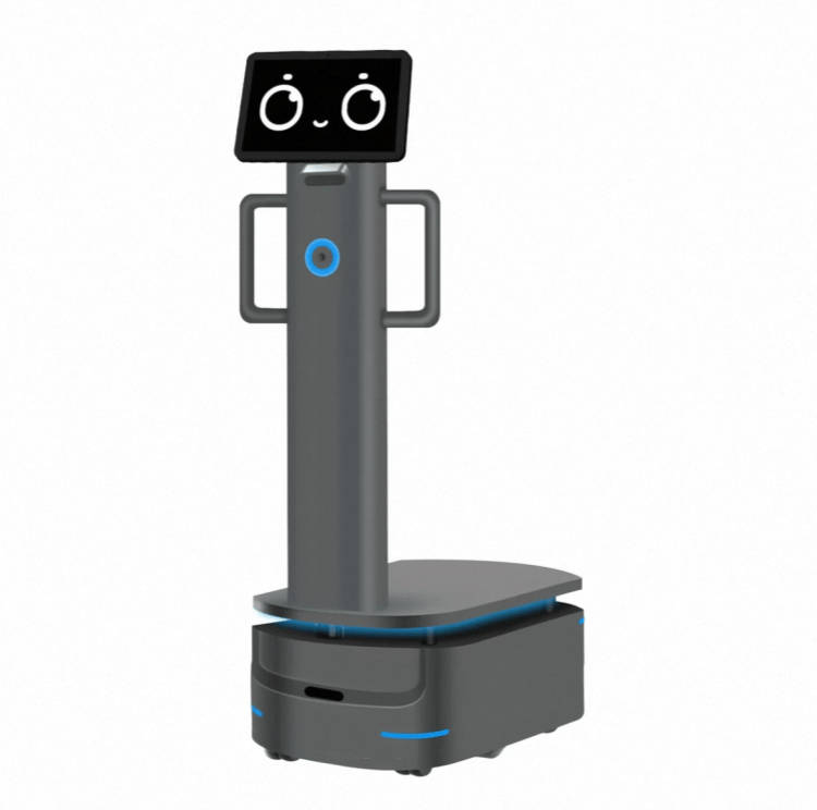 Robot Muatan Berat untuk Pengiriman Industri